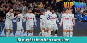 Bí quyết chọn kèo cược xiên – Cách lấy tiền nhà cái đơn giản nhất cho anh em